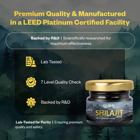 Oribite Natural Himalayan Shilajit Resin For Stamina 20G