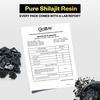 Oribite Natural Himalayan Shilajit Resin For Stamina 20G