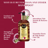 Oriental Botanics Red Onion Hair Shampoo - 300 Ml