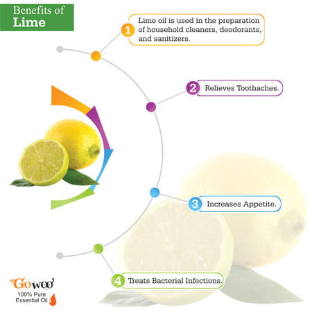 Pack Of 2 Lime Essential Oil And Walnut Carrier Oil - 100% Pure & Natural Oil For Hair, Skin Massage