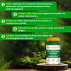 Pure Nutrition Multivitamin For Women L Women`S Multivitamin For Energy And Immunity - 30 Tablets