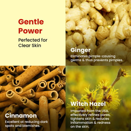 The Skin Story Ginger Cinnamon Pimple Acne Control Face Wash | Oily Skin | Reduces Dark Spots 100ml