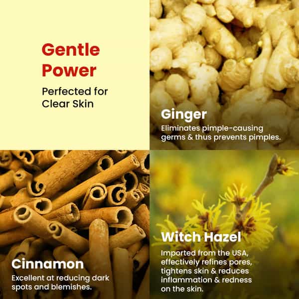 The Skin Story Ginger Cinnamon Pimple Acne Control Face Wash | Oily Skin | Reduces Dark Spots 100Ml