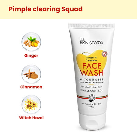 The Skin Story Ginger Cinnamon Pimple Acne Control Face Wash | Oily Skin | Reduces Dark Spots 100ml