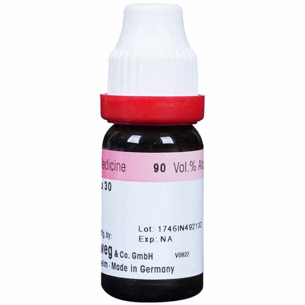 Dr. Reckeweg Arnica Mont Dilution 30 Ch 11 Ml