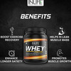 Inlife Whey Protein Powder With Isolate Concentrate Hydrolysate Digestive Enzymes-400 Grams(Vanilla)