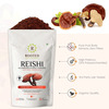 Rooted Actives - Reishi Mushroom Extract Powder - Pure Fruit Body Extract- 60Gm