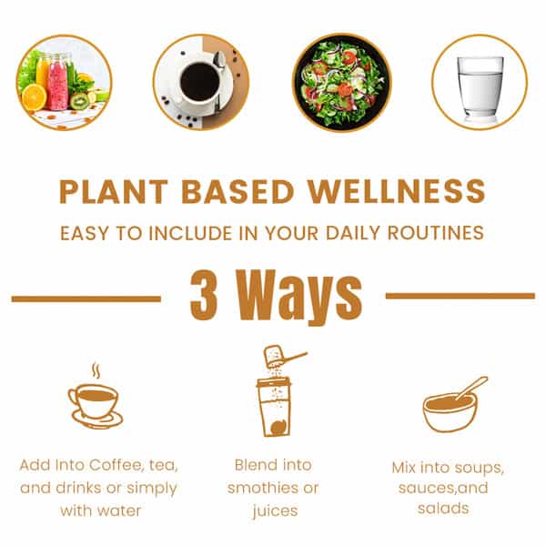 Rooted Actives - Reishi Mushroom Extract Powder - Pure Fruit Body Extract- 60Gm