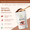 Rooted Actives - Reishi Mushroom Extract Powder - Pure Fruit Body Extract- 60Gm