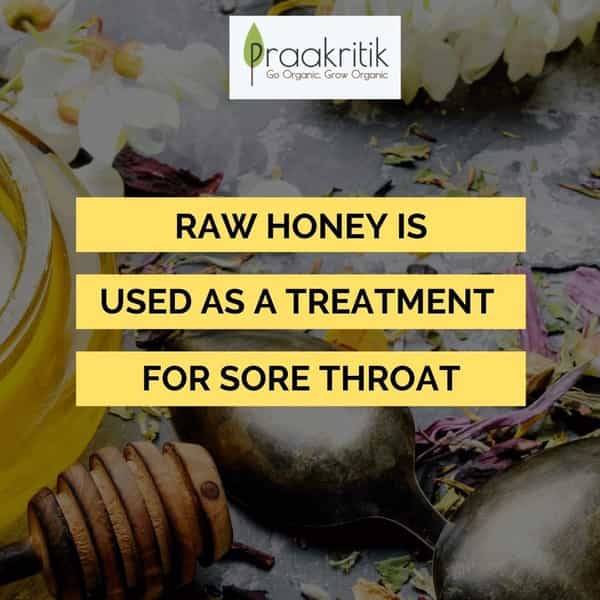 Praakritik Natural Adivasi Honey 200 G