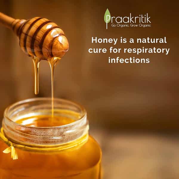 Praakritik Natural Adivasi Honey 200 G