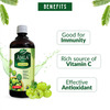 Dabur Amla Juice - 1 Litre