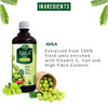 Dabur Amla Juice - 1 Litre