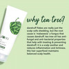 Plum Tea Tree Buildup Control Scalp Scrub - 100 Ml