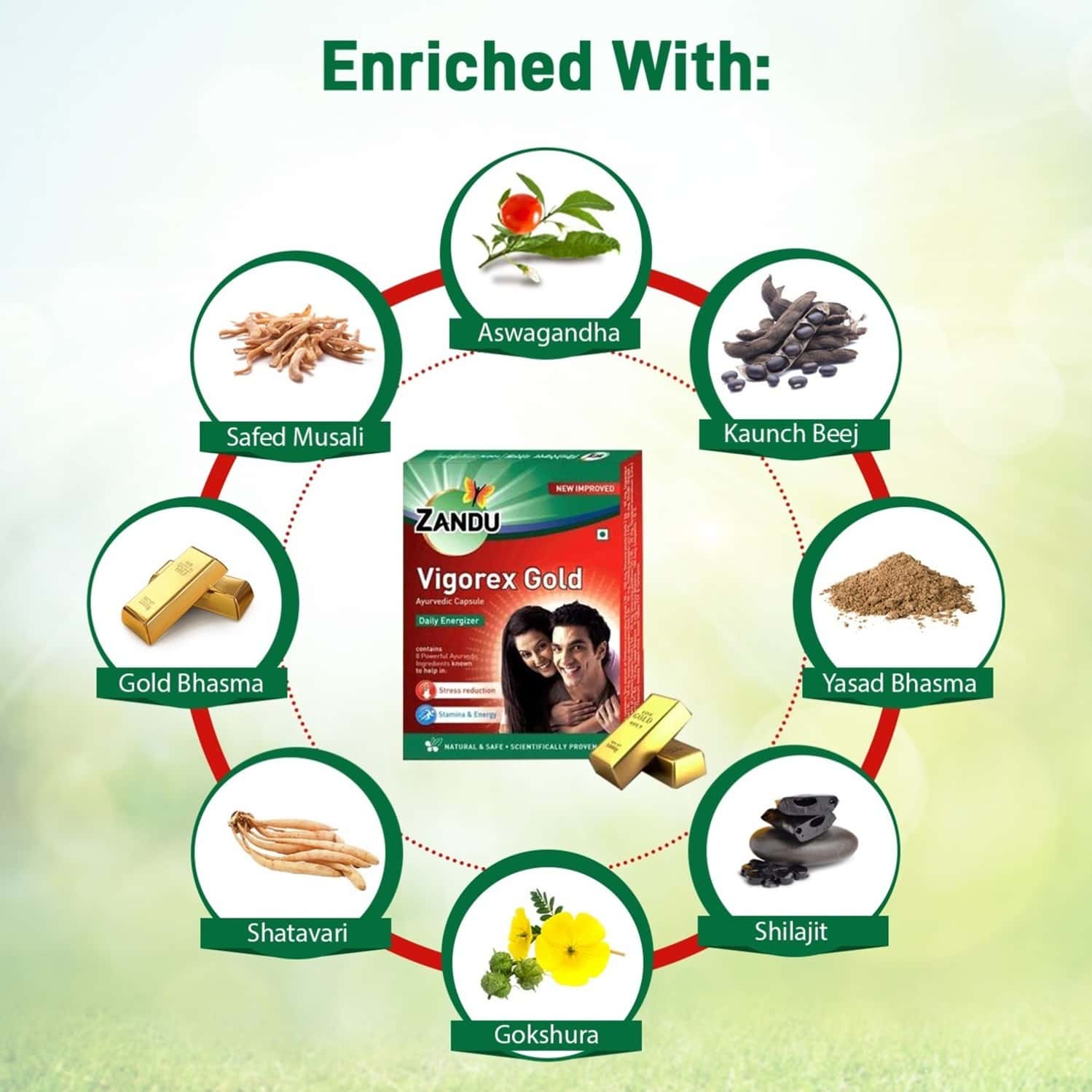 Buy ZANDU VIGOREX GOLD VIGOR IMPROVEMENT CAPSULES BOX OF 10 Online