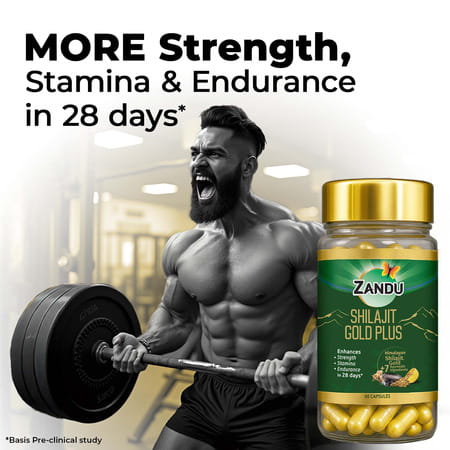 Zandu Shilajit Gold Plus Capsules 60 No'S