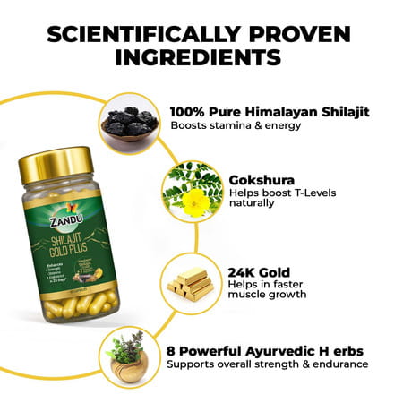 Zandu Shilajit Gold Plus Capsules 60 No'S