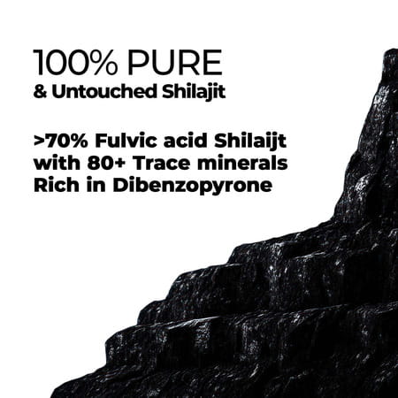 Zandu Shilajit Gold Plus Capsules 60 No'S