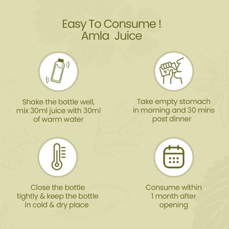 Krishna's Special Amla High Fiber Juice - 1 Litre