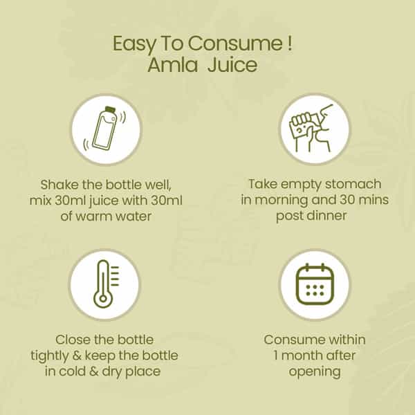 Krishna's Special Amla High Fiber Juice - 1 Litre