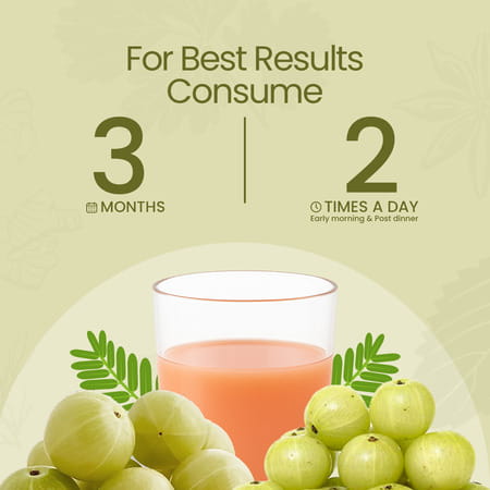 Krishna's Special Amla High Fiber Juice - 1 Litre