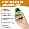 Vlado'S Himalayan Organics Curcumin | 60 Veg Tablets