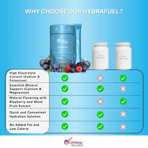 Wishnew Wellness Hydrafuel: Electrolyte-Rich Hydration Solution For Energy & Stamina (Blueberry)