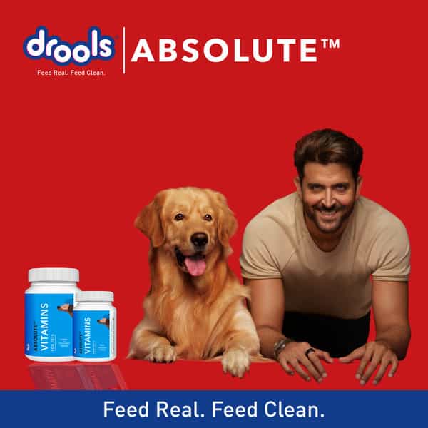 Drools Absolute Vitamin Tablet- Dog Supplement 50 Pieces