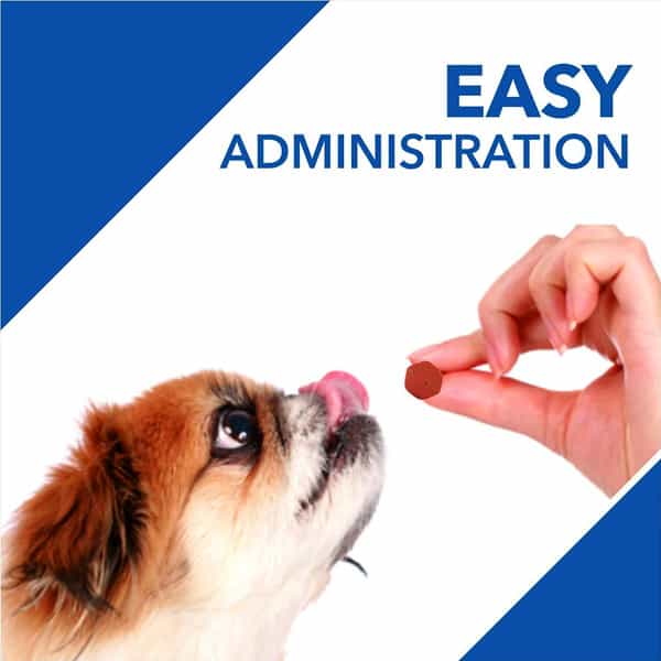 Drools Absolute Vitamin Tablet- Dog Supplement 50 Pieces
