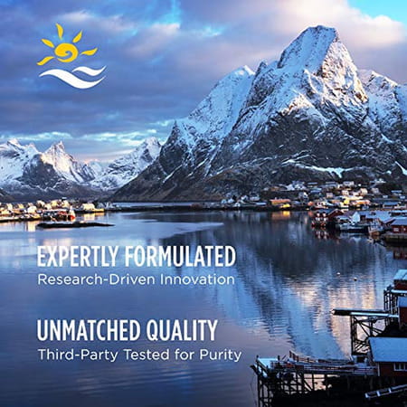 Nordic Naturals Cholesterol Support Omega 3 Epa & Dha + Red Yeast Rice Coq10 Fish Oil 60 Softgels