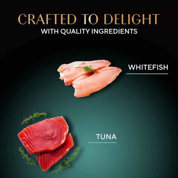 Sheba Deluxe Premium Adult (1+ Years) Wet Cat Food | Tuna Fillets In Jelly | 85 G (Pack Of 24)