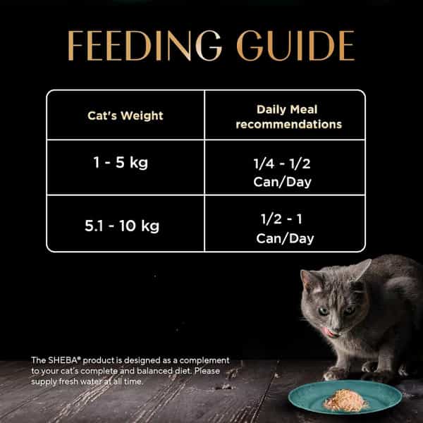 Sheba Deluxe Premium Adult (1+ Years) Wet Cat Food | Tuna Fillets In Jelly | 85 G (Pack Of 24)