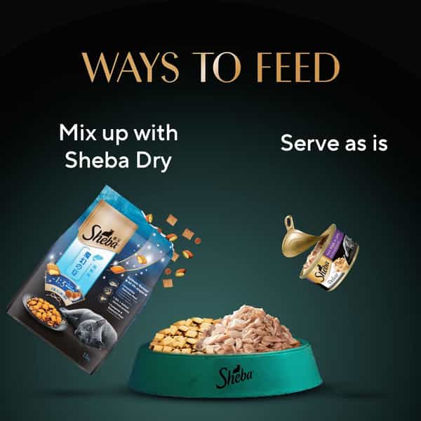 Sheba Deluxe Premium Adult (1+ Years) Wet Cat Food | Tuna Fillets In Jelly | 85 G (Pack Of 24)