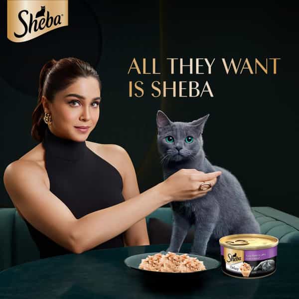 Sheba Deluxe Premium Adult (1+ Years) Wet Cat Food | Tuna Fillets In Jelly | 85 G (Pack Of 24)