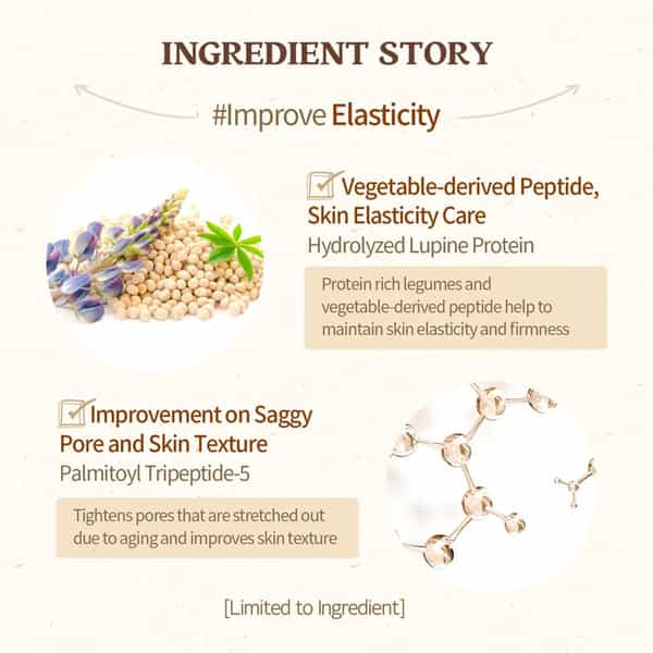 Skinfood Acorn Pore Peptide Cream - Korean Skincare - For Moisturisation - Hydration - 70Ml