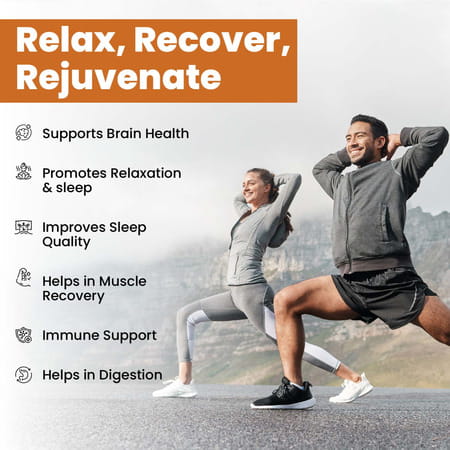 Vlado'S Himalayan Organics L-Glycine 500mg Supplement I Supports Healthy Sleep I Strong | Veg - 120n