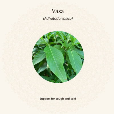 View product image 5
