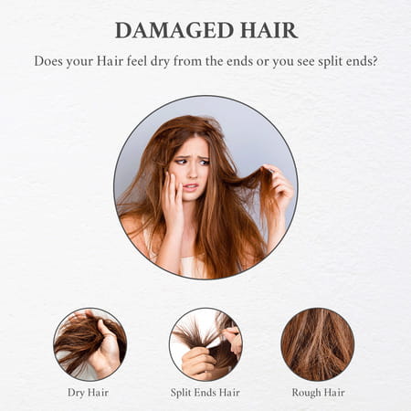 Moroccan Argan Oil Hair Conditioner (200ml) Pack Of 3