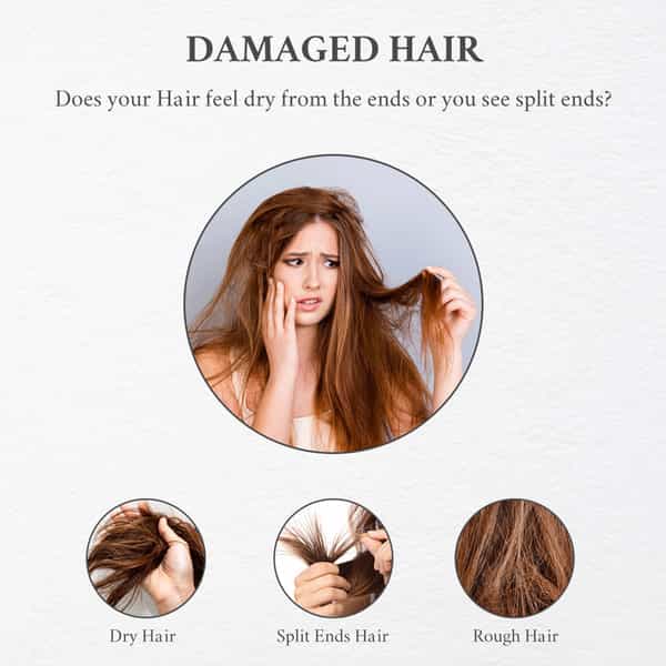 Moroccan Argan Oil Hair Conditioner (200Ml) Pack Of 3