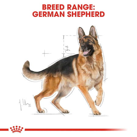 Royal Canin German Shepherd Adult Dog Food | 11 Kg | Dry Food | Supports Digestive Health