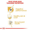 Royal Canin German Shepherd Adult Dog Food | 11 Kg | Dry Food | Supports Digestive Health