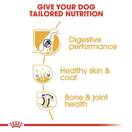 Royal Canin German Shepherd Adult Dog Food | 11 Kg | Dry Food | Supports Digestive Health