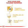 Royal Canin German Shepherd Adult Dog Food | 11 Kg | Dry Food | Supports Digestive Health