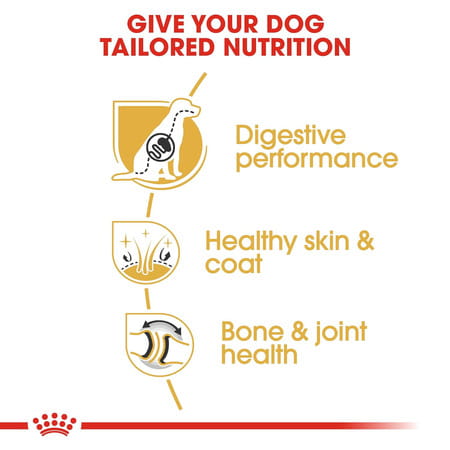 Royal Canin German Shepherd Adult Dog Food | 11 Kg | Dry Food | Supports Digestive Health