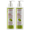 Jiva Amla Shampoo|Helps To Prevent Dandruff | Promotes Healthy Hair - 200Ml (Pack Of 2)
