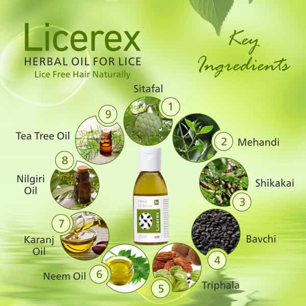 Licerex Oil 25 Ml | Enriched With Sitafal | Mehandi | Kapoor | Nilgiri Oil (Pack Of 4)