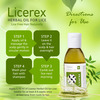 Licerex Oil 25 Ml | Enriched With Sitafal | Mehandi | Kapoor | Nilgiri Oil (Pack Of 4)