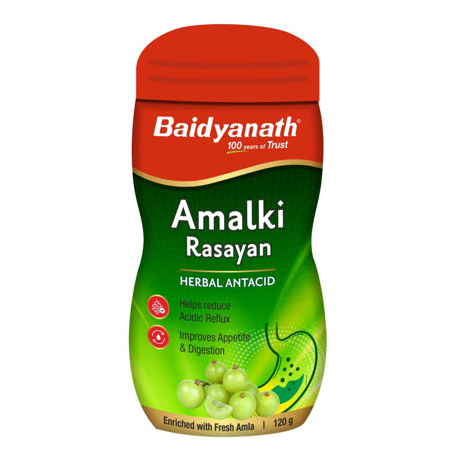 Baidyanath Ayurved Amlaki Rasyan 120g | Immunity & Wellness Support