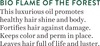 Biotique Bio Flame Of The Forest Fresh Shine Expertise Oil 120 Ml