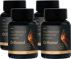 Orthomol Ayurvedic Pain Relief 60 Capsules (Pack Of 4)
